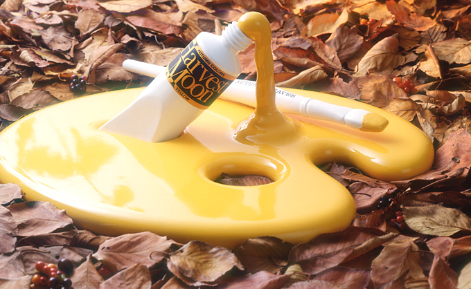 �C�x���g�|�X�^�[�C���X�g�摜